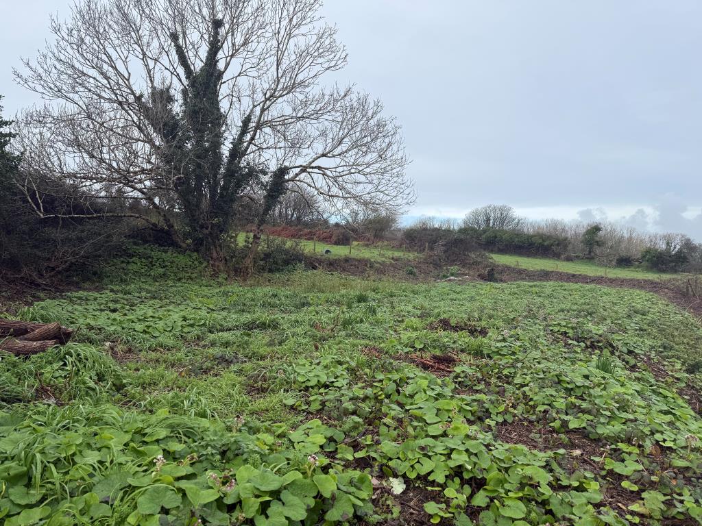 Lot: 13 - PARCEL OF LAND BOASTING BEAUTIFUL SEA VIEWS - Land